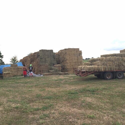 iphone photo grab 11.15.15 462