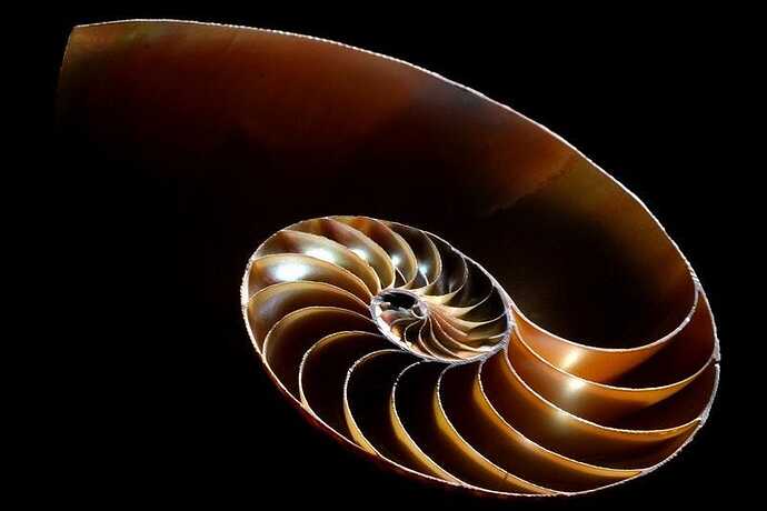 The shape of things to come