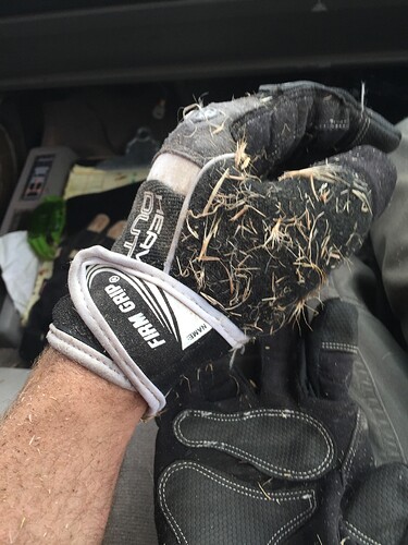 iphone photo grab 11.15.15 461