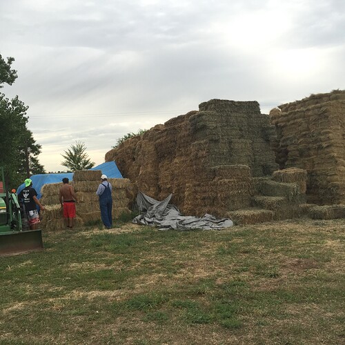 iphone photo grab 11.15.15 463