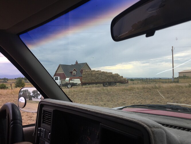 iphone photo grab 11.15.15 460