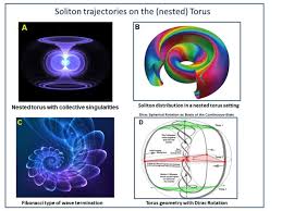 The toroidal configurations of soliton fluxes with from A to D, in ...
