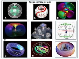 Various modalities of toroidal geometry: A: Nested torus structure ...