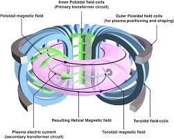 Sketch of the tokamak device. The toroidal magnetic field is ...