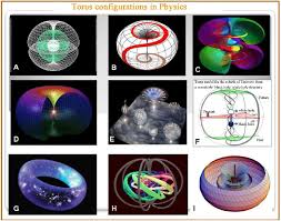 Various modalities of toroidal geometry: (A) Nested torus ...