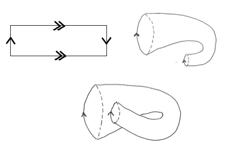Klein Bottle | Brilliant Math & Science Wiki