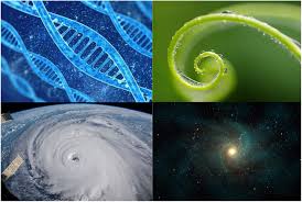 Structural optimal design and power generation characteristics of ...