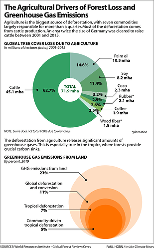 https://insideclimatenews.org/wp-content/uploads/2021/03/DeforestationLandGHG600px.png