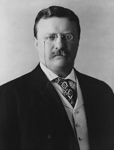 https://upload.wikimedia.org/wikipedia/commons/thumb/1/19/President_Theodore_Roosevelt%2C_1904.jpg/960px-President_Theodore_Roosevelt%2C_1904.jpg
