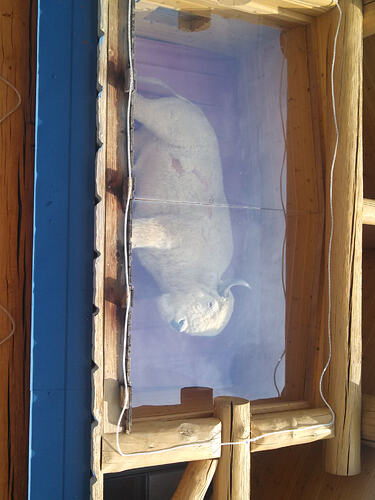 IMG20130828125651767