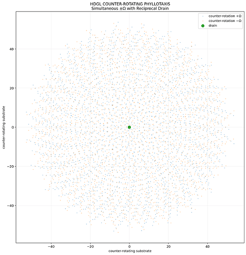 hdglcounterrotatingphyllotaxis
