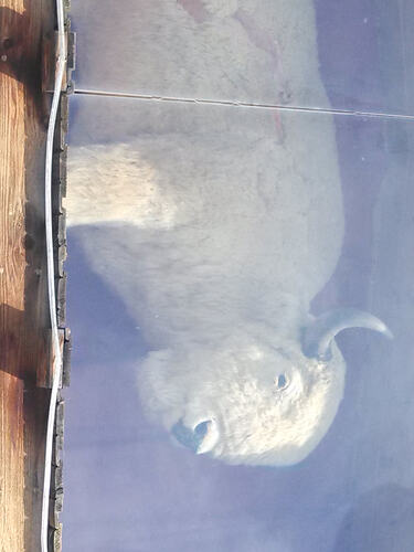 IMG20130828125645984